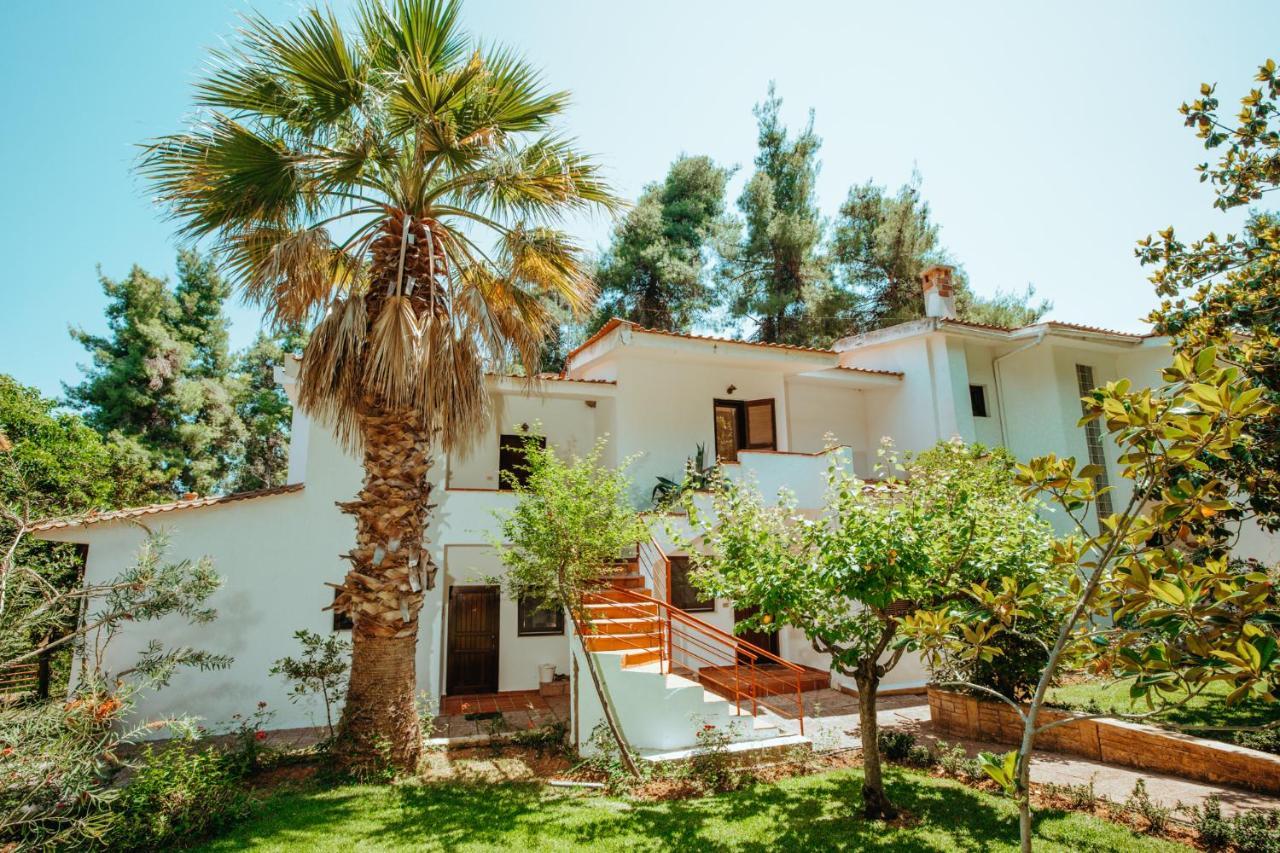 Forest House Near The Sea Sani  Extérieur photo