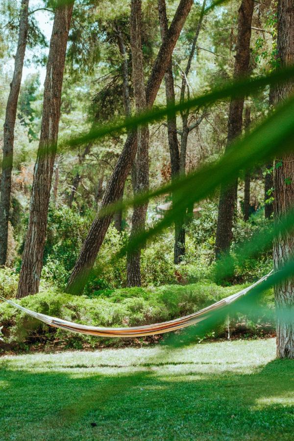 Forest House Near The Sea Sani  Extérieur photo