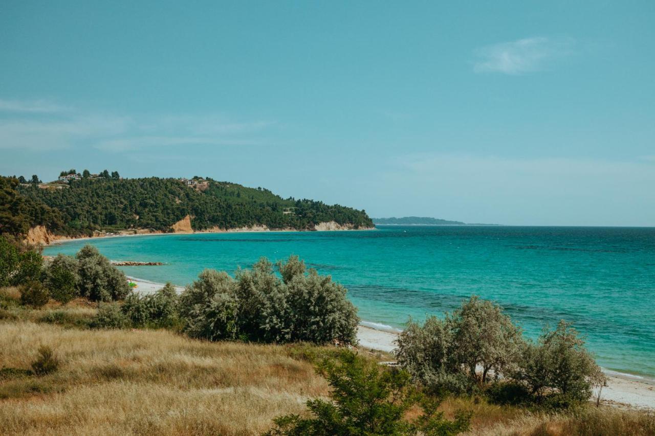 Forest House Near The Sea Sani  Extérieur photo